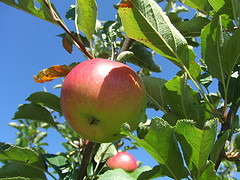 http://www.flickr.com/photos/mc_sensei/2842093522/